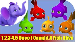 1,2,3,4,5 Once I Caught A Fish Alive Nursery Rhyme in 4K