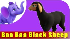 Baa Baa Black Sheep Nursery Rhyme in 4K