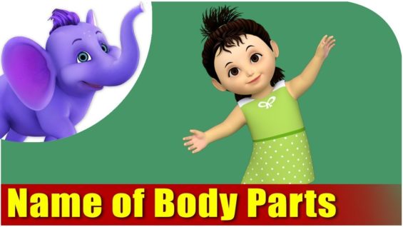 Name of Body Parts, Learn Body Parts – My Body Song