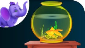 A Little Golden Fish – Nursery Rhyme with Karaoke