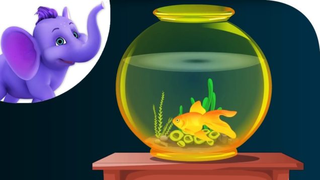 A Little Golden Fish – Nursery Rhyme with Karaoke