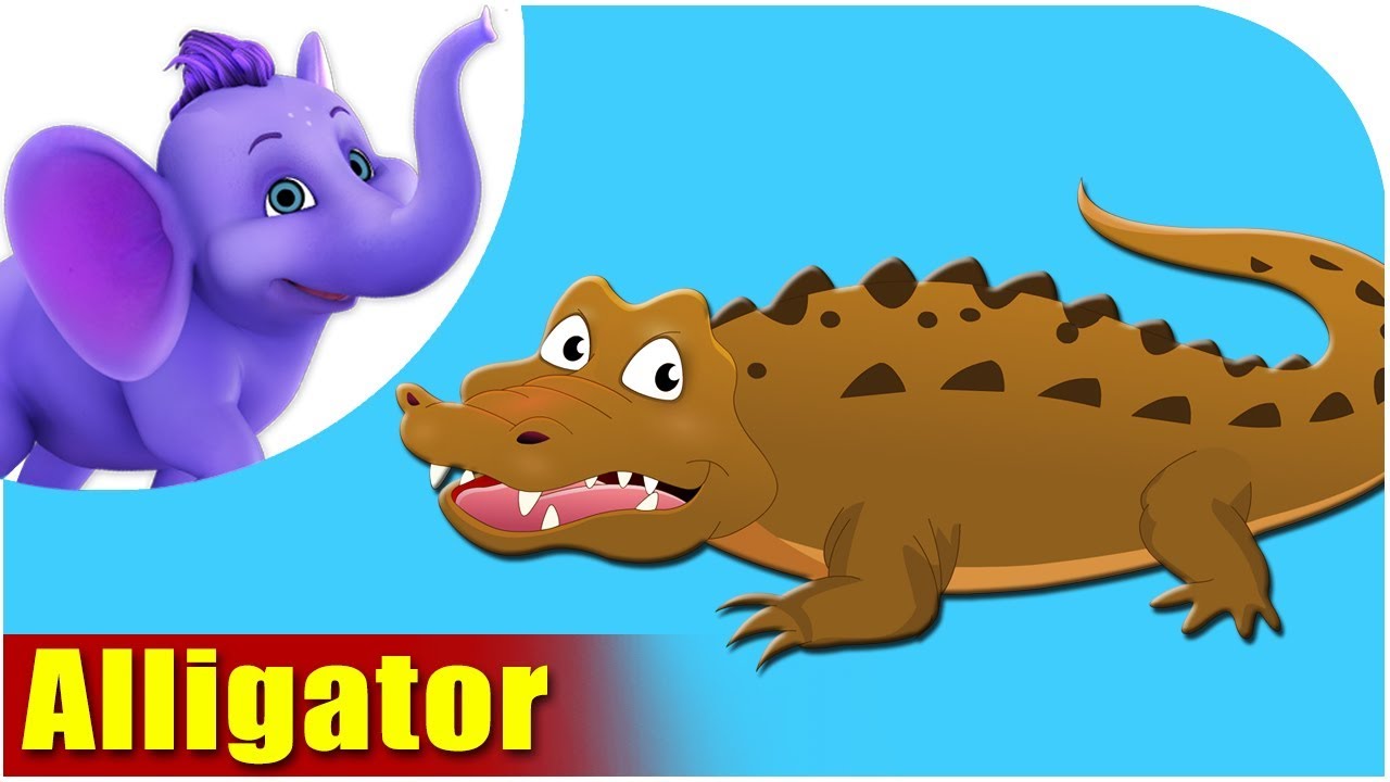 Звуки аллигатора. Rhyme about Alligator. Alligator super simple Songs -animals. Talking ABC Alligator.