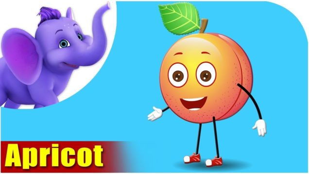 Apricot – Fruit Rhyme