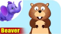 Beaver – Animal Rhymes in Ultra HD (4K)