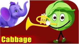 Cabbage – Vegetable Rhyme