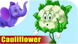 Cauliflower – Vegetable Rhyme