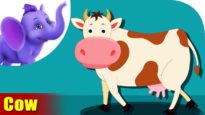 Cow Animal Rhyme, Cow Videos for Children