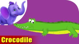 Crocodile Rhymes