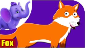Fox – Animal Rhymes in Ultra HD (4K)