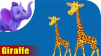 Giraffe Rhymes