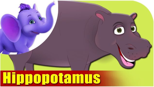 Hippopotamus – Animal Rhymes in Ultra HD (4K)
