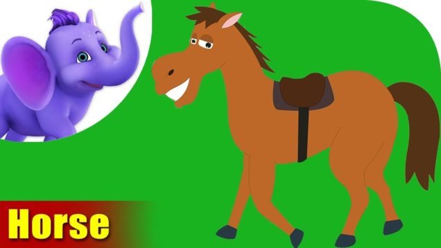 Horse Rhymes, Horse Animal Rhymes Videos for Children