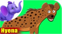 Hyena – Animal Rhymes in Ultra HD (4K)