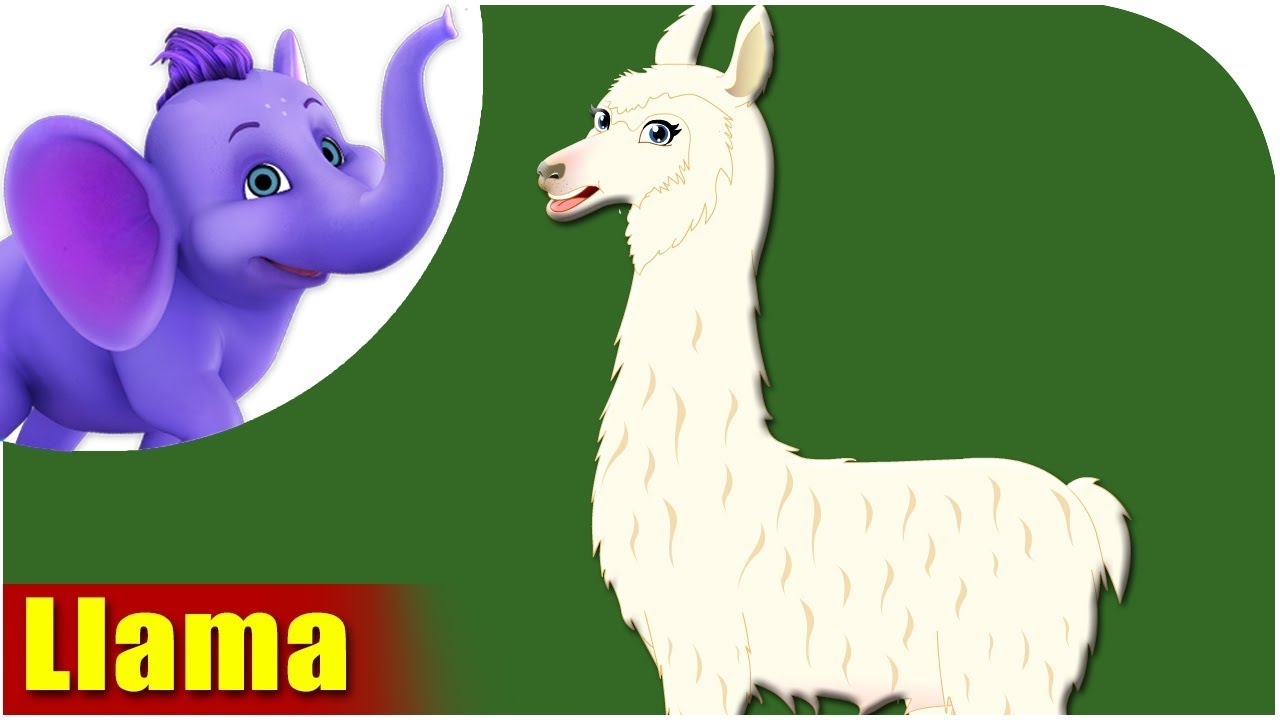 Llama Kids. Animals Song. Llama llama learns to Swim.