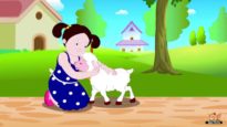 Mary had a Little Lamb in Bengali – Nursery Rhyme