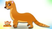 Mongoose – Animal Rhymes in Ultra HD (4K)