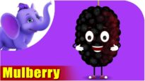 Mulberry – Fruit Rhyme