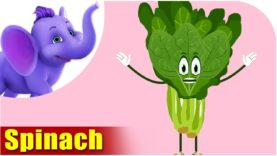Paalak (Spinach) – Vegetable Rhymes in Marathi