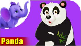 Panda – Animal Rhymes in Ultra HD (4K)
