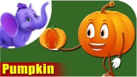 Pumpkin – Vegetable Rhyme