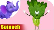 Spinach – Vegetable Rhyme