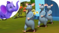 Three Young Rats