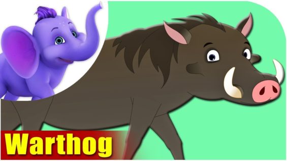 Warthog – Animal Rhymes in Ultra HD (4K)