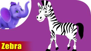 Zebra Animal Rhymes | Hindi Rhymes from Appuseries