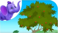 Classic Rhymes from Appu Series – Nursery Rhyme – The Apple Tree