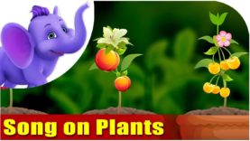 Song on Plants – Five Main Parts of a Plant in Ultra HD (4K)
