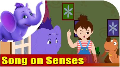 Song on Senses – Five Senses in Ultra HD (4K)