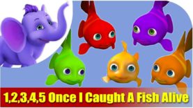 1, 2, 3, 4, 5 Once I Caught A Fish Alive Nursery Rhyme in 4K | Marathi Rhymes From APPUSERIES