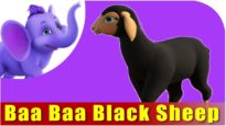 Baa Baa Black Sheep | Hindi Rhymes from Appuseries (4K)