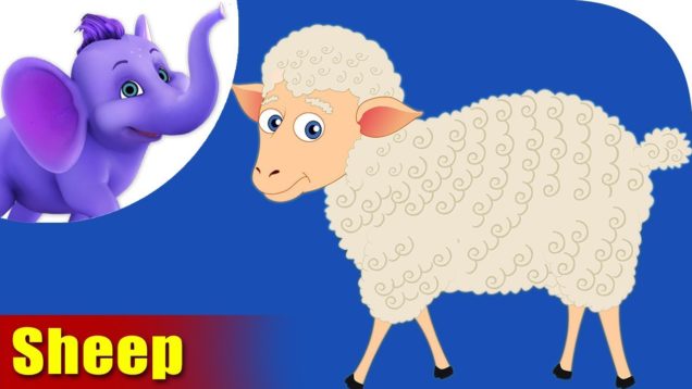 Bhed (Sheep) Animal Rhymes | Hindi Rhymes from Appuseries