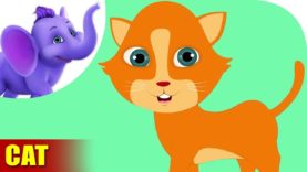 Billi (Cat) – Animal Rhymes in Hindi