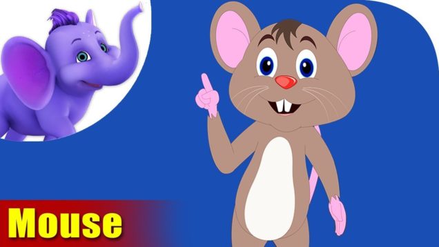 Chuha (Mouse) – Animal Rhymes in Hindi