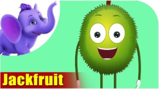 Fanas – Jackfruit Fruit Rhyme in Marathi