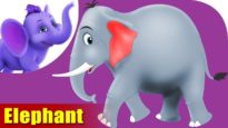 Haathi (Elephant) – Animal Rhymes in Hindi