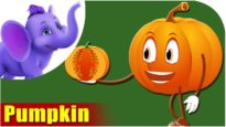 Kaddu (Pumpkin) – Vegetable Rhymes in Hindi