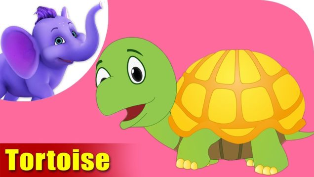 Kasava (Tortoise) – Animal Rhymes in Marathi