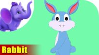 Kharagosh (Rabbit) – Animal Rhymes in Hindi