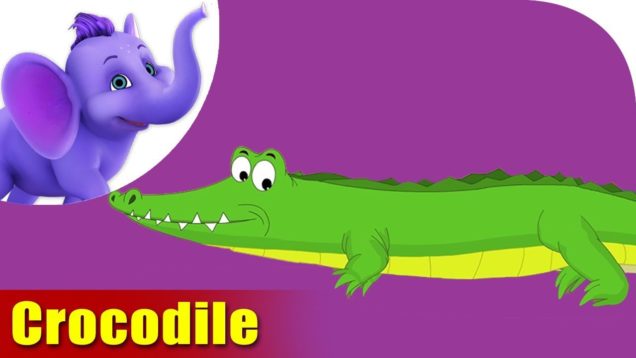 Magar (Crocodile) Animal Rhyme | Marathi Rhymes from Appuseries