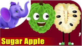 Sitafal – Sugar Apple Fruit Rhyme in Marathi