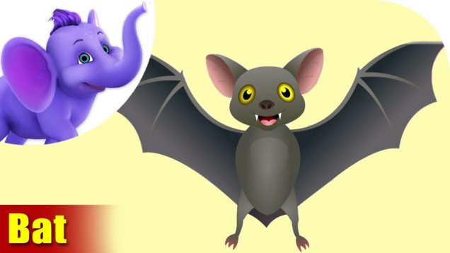 Vatvaghul (Bat) Animal Rhyme | Marathi Rhymes from Appuseries