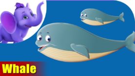 Whale Animal Rhymes | Hindi Rhymes from Appuseries