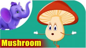 Mashroom (Mushroom) – Vegetable Rhymes in Marathi