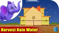 Rain Water Harvesting – Environmental Song in Ultra HD (4K)