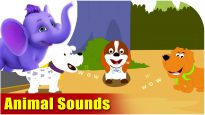 Animal Sounds – Learning song for Children in 4K by Appu Series