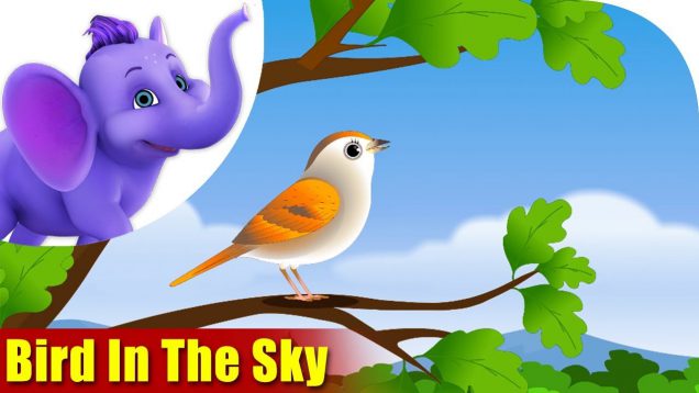 Birds in the Sky in Ultra HD (4K)