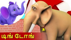 Ding dong – Tamil Nursery Rhyme for Children in 4K by Appu Series